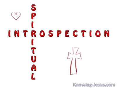 Spiritual Introspection (devotional)05-27 (white)
